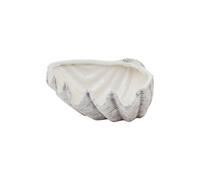 KDMD Siren Medium Ceramic Shell Bowl - Coastal Decor Accent in White KDMD White