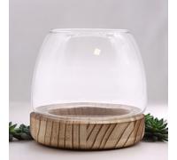 KDMD Small Terarium on Natural Tung Wood in Brown KDMD Brown