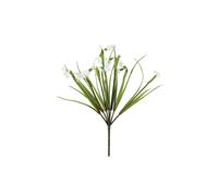 KDMD Snowdrop Bush 33cm 2 Pack White KDMD White