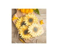 KDMD Sunflower Coaster Set - 4 Bright, Rustic MDF Protectors in Yellow KDMD Yellow