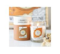 KDMD The Wheel of Fortune Vintage Tarot Orange Candle in White KDMD White