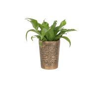 KDMD Tree of Life Bronze Terracotta Plant Pot KDMD Bronze