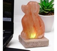 KDMD USB Dog Shaped (Multi) in Orange KDMD Orange