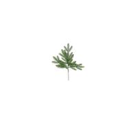 KDMD Vermont Spruce Stem 50cm Green KDMD Green