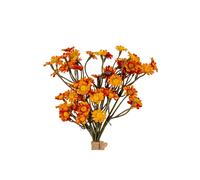 KDMD Vibrant Orange Daisy Bunch for Natural Floral Displays KDMD Orange