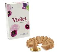 KDMD Violet Cones in White KDMD White