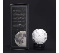 KDMD White Howlite Planet on a Sola Goldstone Stand (MOON) KDMD White
