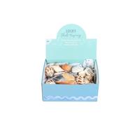 KDMD Women's Set of 36 Resin Seashell Keyrings in Display in Brown KDMD Brown One Size