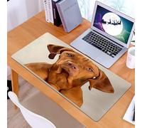 KDWJS Gaming Mouse Pad Mouse Mat - 35.5 x 16 in - XXL mousepad - Table mat large size - improved precision and speed - Portrait of an adorable magyar vizsla looking curiously at the camera - isolated