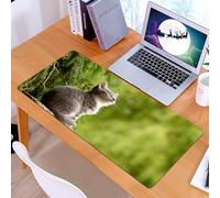 KDWJS Gaming Mouse Pad Mouse Mat - 35.5 x 16 in - XXL mousepad - Table mat large size - improved precision and speed - Animal, a gray kitten sitting on a rock, staring at the background of lush green
