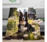 KeAan Border Collie Cute Puppy Printed Blanket,Ultra Warm Blanket, Living Blanket, Soft And Comfortable Throw, Sofa Blanket 40x50inch(100x130cm)