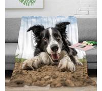 KeAan Border Collie Print Blanket for Sofa Couch Bed Fleece Throw Blanket Decorative Cute Puppy Theme Sherpa Blanket 3D Pattern Plush Fuzzy Blanket 50x60inch(127x152cm)
