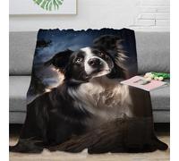 KeAan Border Collie Sherpa Blanket Cute Puppy Print Fleece Throw Blanket for Sofa Bed Couch Adult 3D Fuzzy Blanket Gift Plush Blanket Room Decor 50x60inch(127x152cm)