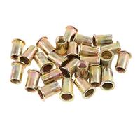 Keadic 100Pcs M10 Rivet Nuts Metric Zinc Plated Carbon Steel Rivet Nut Flat Head Threaded Insert Kit