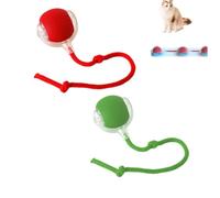 KEDAOLA 2pcs Interactive Cat Ball Toy, Rechargeable Smart Moving Cats Toy Balls,Stimulate Hunting Instinct for Small Medium Large Cats