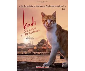Kedi - Des chats et des hommes