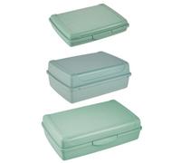 Set of 3 Clip Lock Fresh Food Container Keeeper Green One Size