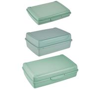 Set of 3 Clip Lock Fresh Food Container Keeeper Green One Size