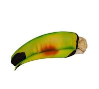 Keel-Billed Toucan Skull (Teaching Quality Replica)