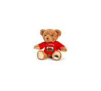 Keeleco: 18cm Cymru Bear - Plush Soft Toy