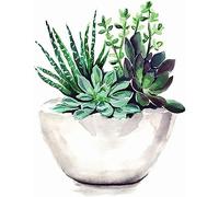 KEEMOSO Painting by Numbers from 7 8 9 Years Girls and Boys, Painting by Numbers for Children with Frame, 3 Brushes and Acrylic Paints, 40 x 50 cm, Succulent Plant