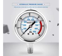 Keenso 0-60MPa Water Pressure Manner with a Fan-shaped Pointer for Easy Reading for the Sanitary Facilities At Home