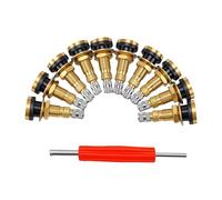 Keenso 10pcs Tire Valve Stems, OE TR618A