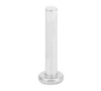 Keenso Aluminum Flat Head Solid Rivets 100pcs M2.5 * 12/14/16mm for DIY Crafts Hardware Silver (M2.5 * 16)