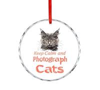 Keep Calm And Photograph Cats Hanging Glass Ornament Christmas Tree Decoration Pendant Happy Engagement Gift for Wedding