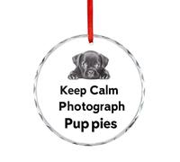 Keep Calm And Photograph Puppies Hanging Glass Ornament Christmas Tree Decoration Pendant Happy Engagement Gift for Wedding