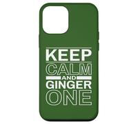 Keep Calm Ginger On Back If Lost Or Drunk Return To Friends Case for iPhone 12 mini