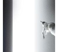 Keep Looking Where The Light Comes From [VINYL]