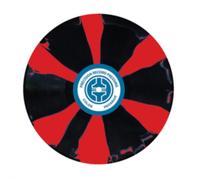 Stick To Your Guns Keep planting flowers LP multicolor Onesize