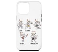 Keep Training Till The Belt Turns Black Taekwondo Cat Case for iPhone 12 Pro Max
