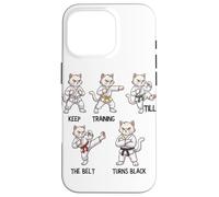 Keep Training Till The Belt Turns Black Taekwondo Cat Case for iPhone 16 Pro