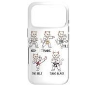 Keep Training Till The Belt Turns Black Taekwondo Cat Case for iPhone 17 Pro