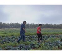 Keep Your Friends Close and Your Anemones Closer in Sardina