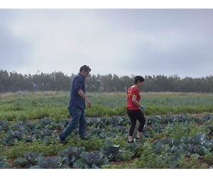 Keep Your Friends Close and Your Anemones Closer in Sardina