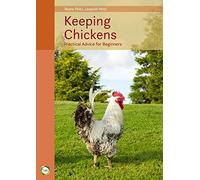 Keeping Chickens: Practical Advice for Beginners