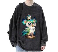 keepmore Aesthetic Owl 3D Printed Men's Women's Pullover Sweatshirts Hip Hop T-Shirt Long Sleeve Sweater Tops Streetwear