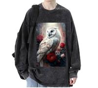 keepmore Aesthetic Owl 3D Printed Men's Women's Pullover Sweatshirts Hip Hop T-Shirt Long Sleeve Sweater Tops Streetwear