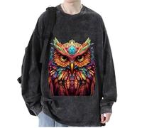 keepmore Aesthetic Owl 3D Printed Men's Women's Pullover Sweatshirts Hip Hop T-Shirt Long Sleeve Sweater Tops Streetwear