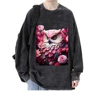 keepmore Aesthetic Owl 3D Printed Men's Women's Pullover Sweatshirts Hip Hop T-Shirt Long Sleeve Sweater Tops Streetwear