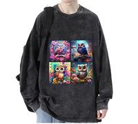 keepmore Aesthetic Owl 3D Printed Men's Women's Pullover Sweatshirts Hip Hop T-Shirt Long Sleeve Sweater Tops Streetwear