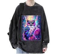 keepmore Aesthetic Owl 3D Printed Men's Women's Pullover Sweatshirts Hip Hop T-Shirt Long Sleeve Sweater Tops Streetwear