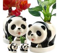KEEPPACE 2PC Panda Bamboo Planter Pots-5.7‘‘ Ceramic Animal Planters | Succulent Pots & Drainage Tray-Lucky Bamboo Plant Pots Flower Pots Indoor-Air Plants-Cactus Planters-Garden Home Decor
