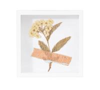 Keepsake Box - Transparent and Dustproof Wall Mounted | Display for Precious Items, for Couples Family Friends Girlfriend Tickets Photo Banknotes Memories