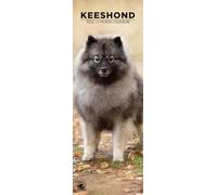 Keeshond 2026 Wall Calendar, 12-Month Slim Format, Made in England