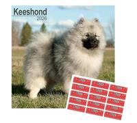 Keeshond Calendar 2026 | 16 months | with FREE Organisational Stickers, Keeshond Gift