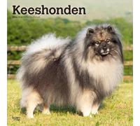 Keeshonden - Wolfsspitz 2026 - 16-Monatskalender: Original BrownTrout-Kalender [Mehrsprachig] [Kalender]